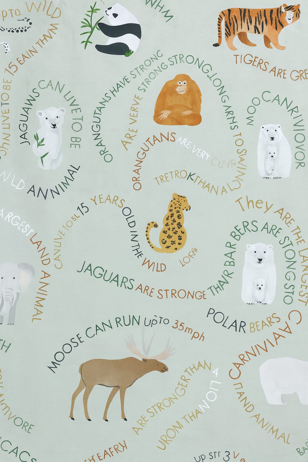 š Wild Wonders Explorer Single Bedsheet