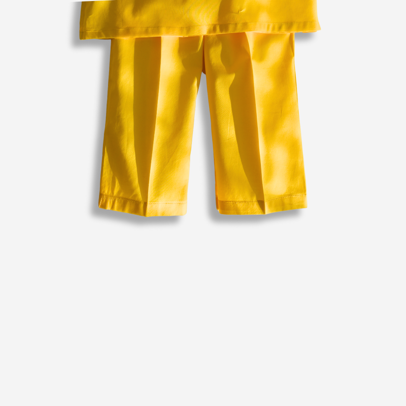 Zard Bahaar (Yellow & Multi Embroidery) ๐ผ