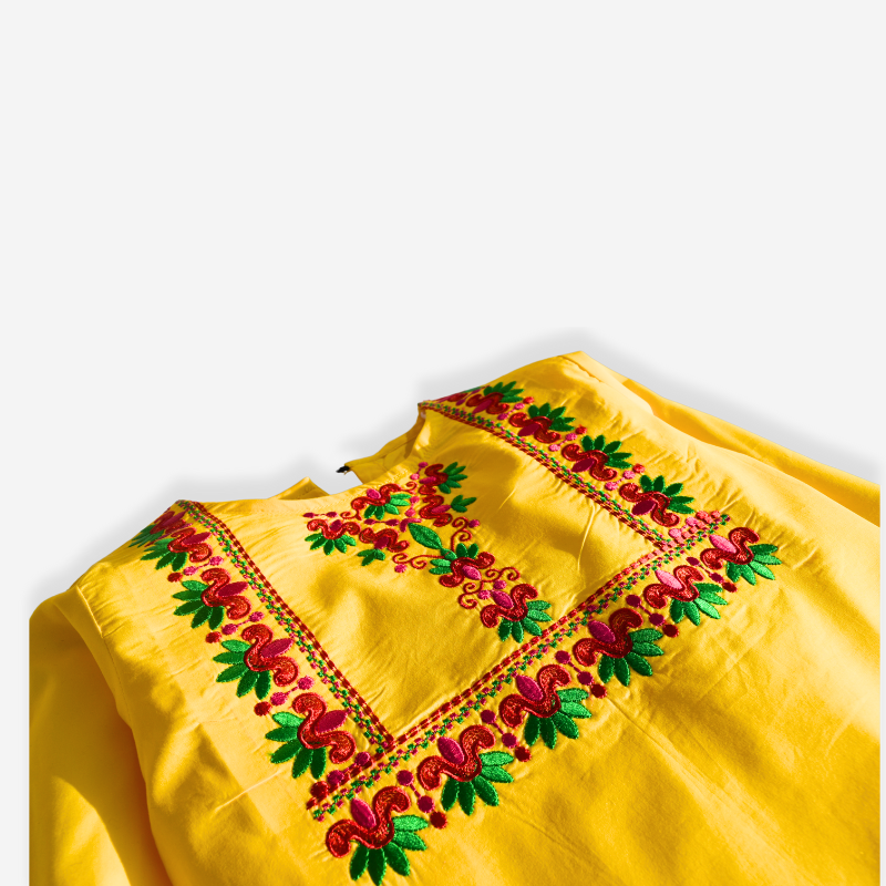 Zard Bahaar (Yellow & Multi Embroidery) ๐ผ