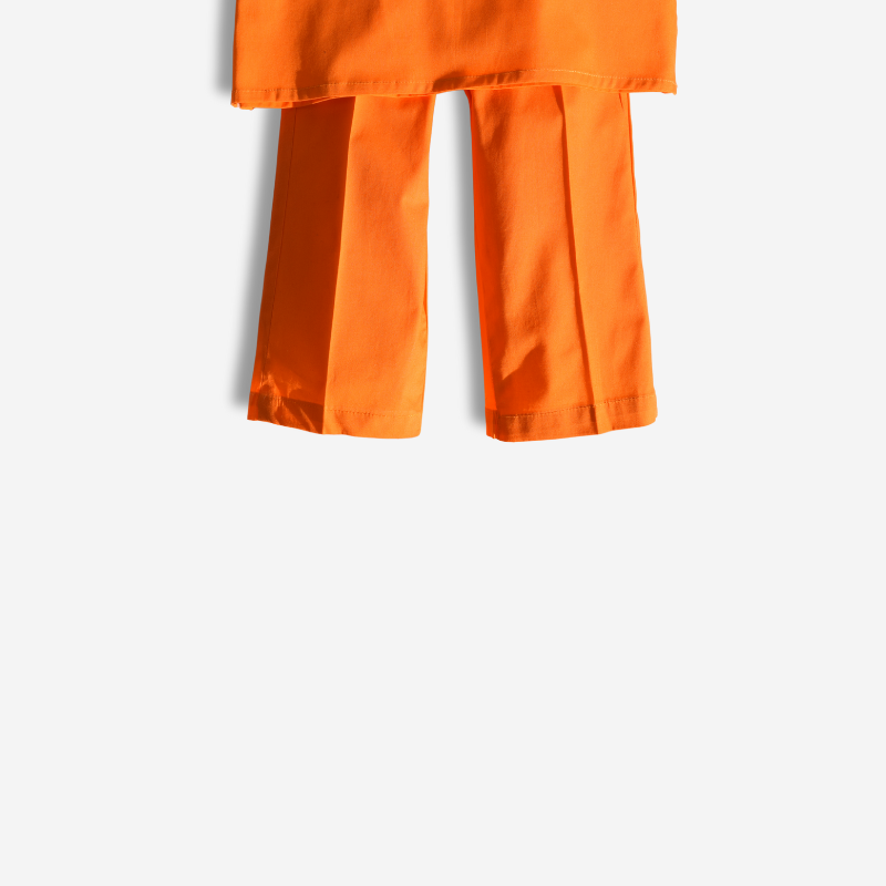 Narang Bahaar (Orange & Multi Embroidery) ๐