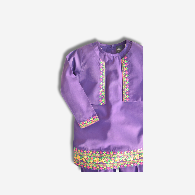 Parizad (Purple & Multi Embroidery) ๐