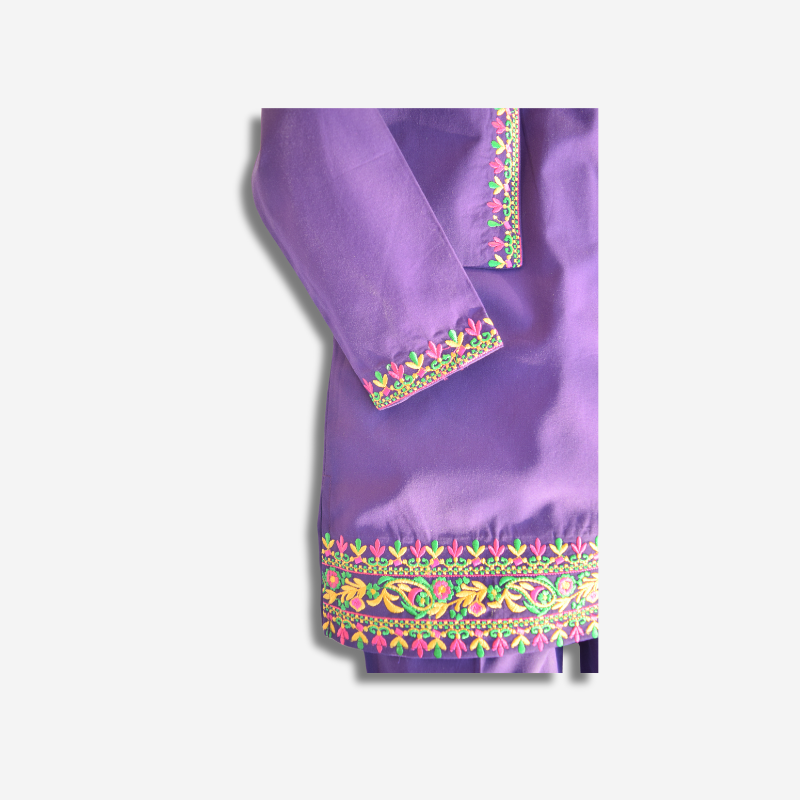 Parizad (Purple & Multi Embroidery) ๐